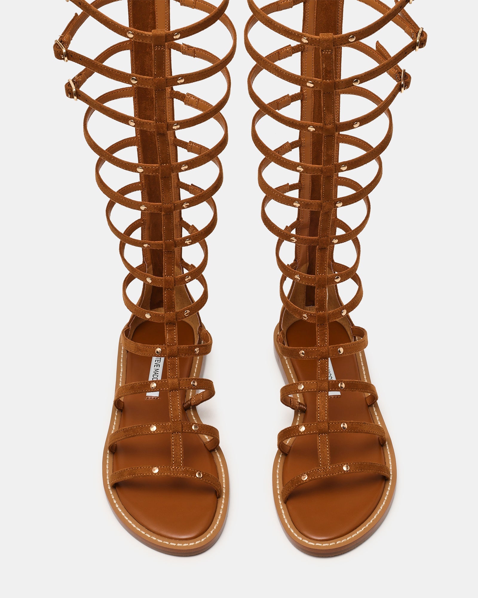 GLADIUS CHESTNUT