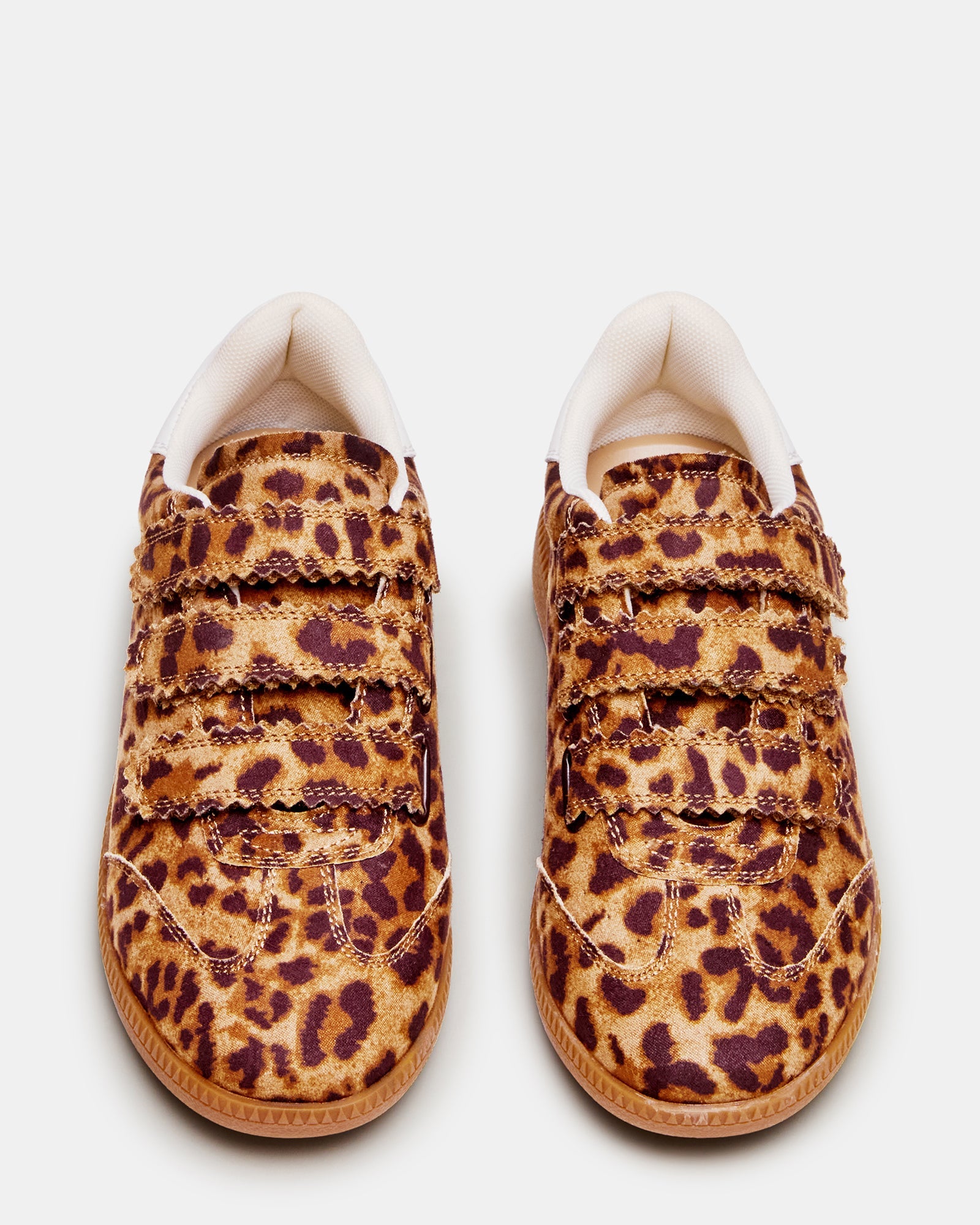 MOMENTUM LEOPARD