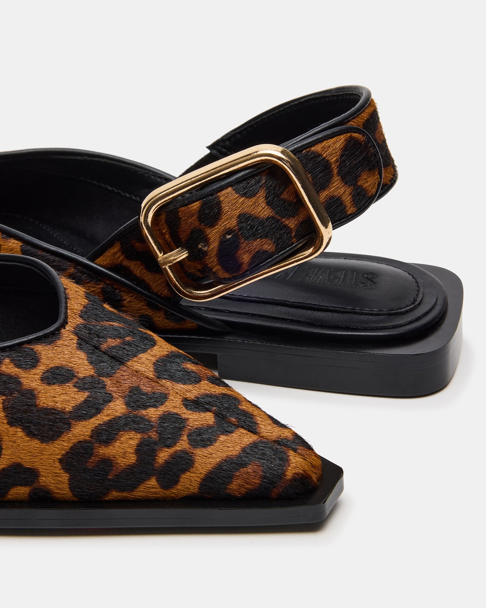 SHAY LEOPARD